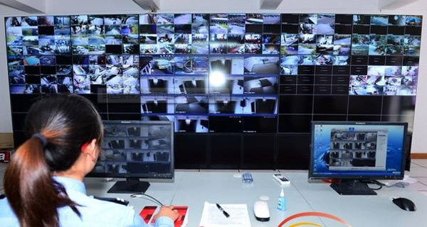 What are the functions of the security monitoring system?